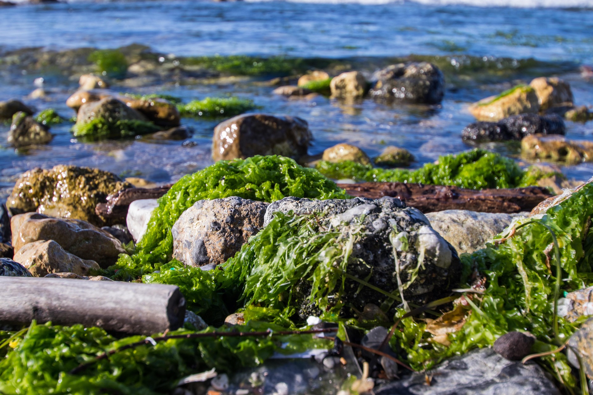 🌱 2) Přírodní materiály: návrat k tomu, co dává smysl